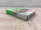 Dragon Quest Monsters 2 Ruka Boxed Nintendo GameBoy Japan - UF6528