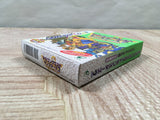 Dragon Quest Monsters 2 Ruka Boxed Nintendo GameBoy Japan - UF6528