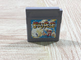 Tsuri Sensei Fishing Boxed Nintendo GameBoy Japan - UF6530