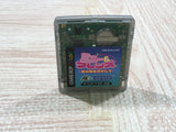 Minnie & Friends Yume no Kuni wo Sagashite Boxed Nintendo GameBoy Japan - UF6533