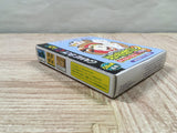 Harvest Moon Bokujo Monogatari 3 GB Boxed Nintendo GameBoy Japan - UF6534