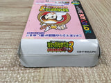 Harvest Moon Bokujo Monogatari 3 GB Boxed Nintendo GameBoy Japan - UF6534