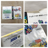 Pocket Family GB 2 Boxed Nintendo GameBoy Japan - UF6535