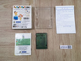 Pocket Family GB 2 Boxed Nintendo GameBoy Japan - UF6535