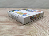 Pocket Family GB 2 Boxed Nintendo GameBoy Japan - UF6535
