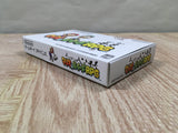 Mario & Luigi RPG Boxed Nintendo GameBoy Advance Japan - UF6541