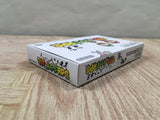 Mario & Luigi RPG Boxed Nintendo GameBoy Advance Japan - UF6541