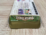 Wario Land Advance Mario Boxed Nintendo GameBoy Advance Japan - UF6542