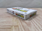 Mario & Luigi RPG Boxed Nintendo GameBoy Advance Japan - UF6543