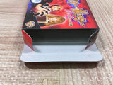 Harry Potter and the Chamber of Secrets Boxed GameBoy Advance Japan - UF6550