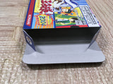 The Prince of Everyone Tennis Boxed Nintendo GameBoy Advance Japan - UF6557