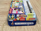 The Prince of Everyone Tennis Boxed Nintendo GameBoy Advance Japan - UF6557