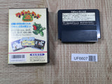 Wagan Land 2 Boxed Nintendo Famicom NES Japan - UF6607