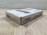 Final Fantasy 5 V Boxed Nintendo Super Famicom SNES Japan - UF6621