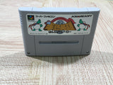 Hanjuku Hero Boxed Nintendo Super Famicom SNES Japan - UF6633
