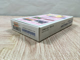 Hanjuku Hero Boxed Nintendo Super Famicom SNES Japan - UF6633