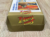 Street Fighter II 2 Boxed Nintendo Super Famicom SNES Japan - UF6649