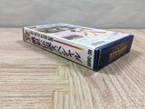 Fatal Fury Special Boxed Nintendo Super Famicom SNES Japan - UF6651
