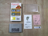 Shanghai Banri no Choujou Boxed Nintendo Super Famicom SNES Japan - UF6659