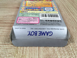 Kirby Block Ball Boxed Nintendo GameBoy Japan - UF6671