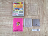 Kirby Block Ball Boxed Nintendo GameBoy Japan - UF6671