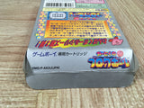 Kirby Block Ball Boxed Nintendo GameBoy Japan - UF6671