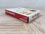 Namco Gallery Vol. 2 Digdug Druaga Galaxian Boxed GameBoy Japan - UF6672