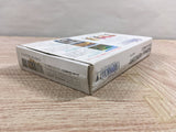Final Fantasy 5 V Boxed Nintendo Super Famicom SNES Japan - UF6704
