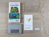 The Last Battle Boxed Nintendo Super Famicom SNES Japan - UF6718