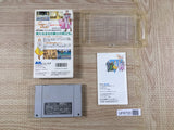 Silva Saga 2 Boxed Super Famicom SNES Japan - UF6720