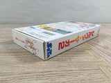 Silva Saga 2 Boxed Super Famicom SNES Japan - UF6720