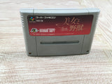 Disney's Beauty and the Beast Boxed Nintendo Super Famicom SNES Japan - UF6733