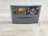 Yu Yu Hakusho 2 Boxed Nintendo Super Famicom SNES Japan - UF6742