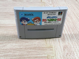 Nekketsu Baseball Monogatari Kunio Kun Boxed Super Famicom SNES Japan - UF6751