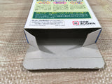 Okamoto Ayako to Match Play Golf Boxed Super Famicom SNES Japan - UF6753
