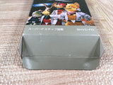 Star Fox Boxed Nintendo Super Famicom SNES Japan - UF6756