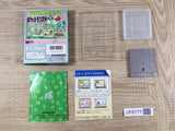 Pokemon Green Boxed Nintendo GameBoy Japan - UF6777