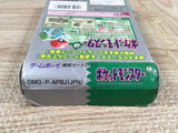 Pokemon Green Boxed Nintendo GameBoy Japan - UF6777