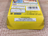 Pocket Family GB Boxed Nintendo GameBoy Japan - UF6779
