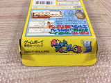 Pocket Family GB Boxed Nintendo GameBoy Japan - UF6779