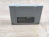 Dai Bakushou Jinsei Gekijou Ooedo Nikki Boxed Super Famicom SNES Japan - UF6807