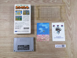 Yoshi no Cookie Yoshi's Cookie Boxed Nintendo Super Famicom SNES Japan - UF6809