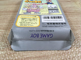 Super Mario Land 2 6 Golden Coins Boxed Nintendo GameBoy Japan - UF6836