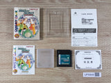 Tales of the World Narikiri Dungeon 2 Boxed Nintendo GameBoy Japan - UF6849