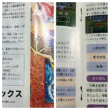Dragon Quest VI 6 Boxed Nintendo Super Famicom SNES Japan - UF6892