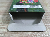 Seiken Densetsu 2 Secret of Mana Boxed Super Famicom SNES Japan - UF6904