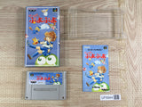 Super Puyo Puyo Boxed Nintendo Super Famicom SNES Japan - UF6944