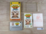 Super Nichibutsu Mahjong 3 Boxed Nintendo Super Famicom SNES Japan - UF6950