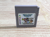 Dragon Quest Monsters Terry Boxed Nintendo GameBoy Japan - UF6960