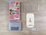 Super Mario World 2 Yoshi's Island Boxed Super Famicom SNES Japan - UF6968